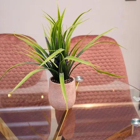 Elite Deluxe 2 アパート *